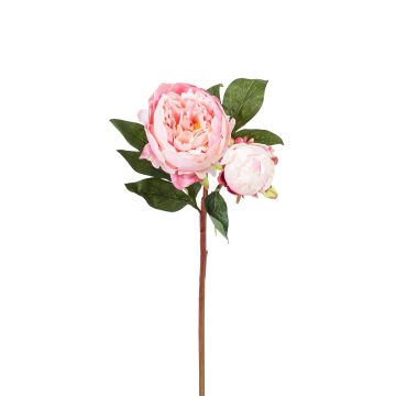 Künstliche Päonie x 2 57cm Blütenkopf Ø 11cm, rosé Künstliche Päonie x 2 57cm Blütenkopf Ø 11cm, rosé