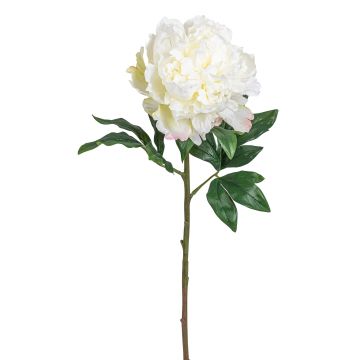 Künstliche Pfingstrose 78cm Blütenkopf Ø 20cm, elfenbein Künstliche Pfingstrose 78cm Blütenkopf Ø 20cm, elfenbein