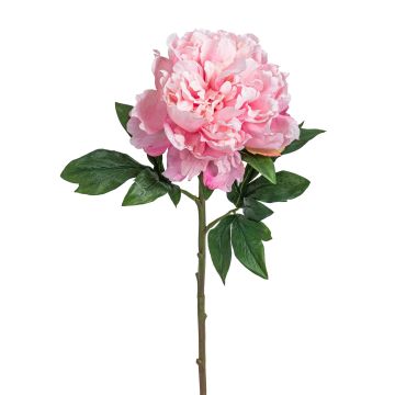 Künstliche Pfingstrose 78cm Blütenkopf Ø 20cm, rosé Künstliche Pfingstrose 78cm Blütenkopf Ø 20cm, rosé