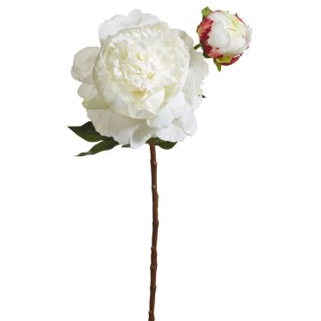 Künstliche Pfingstrose x 2 54cm Blütenkopf Ø 12cm, weiß-rosé Künstliche Pfingstrose x 2 54cm Blütenkopf Ø 12cm, weiß-rosé