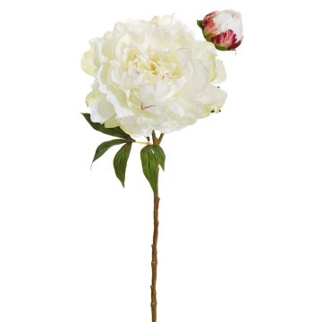 Künstliche Pfingstrose x 2 56cm Blütenkopf Ø 18cm, weiß-rosé Künstliche Pfingstrose x 2 56cm Blütenkopf Ø 18cm, weiß-rosé