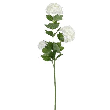 Künstlicher Schneeballzweig x 3 62cm Blütenkopf Ø 9cm, elfenbein