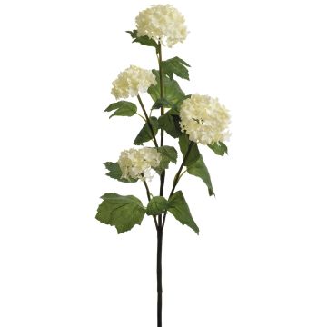 Künstlicher Schneeballzweig x 4 60cm Blütenkopf Ø 6/9cm, elfenbein