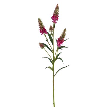Künstlicher Astilbenzweig x 5 76cm, lila Künstlicher Astilbenzweig x 5 76cm, lila