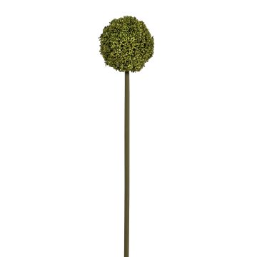 Allium 75cm Blütenkopf Ø 11cm, grün Allium 75cm Blütenkopf Ø 11cm, grün