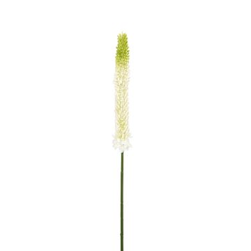 Künstlicher Eremurus 87cm, weiß Künstlicher Eremurus 87cm, weiß