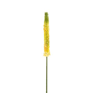 Künstlicher Eremurus 87cm, gelb Künstlicher Eremurus 87cm, gelb