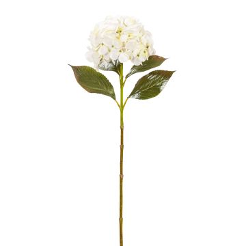 Künstliche Hortensie 70cm Blütenkopf Ø 18cm, elfenbein Künstliche Hortensie 70cm Blütenkopf Ø 18cm, elfenbein