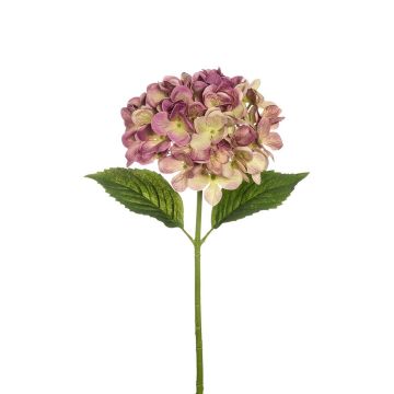 Künstliche Hortensie 49cm Blütenkopf Ø 16cm, lila-gemischt Künstliche Hortensie 49cm Blütenkopf Ø 16cm, lila-gemischt
