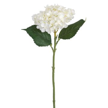 Künstliche Hortensie 47cm Blütenkopf Ø 15cm, elfenbein Künstliche Hortensie 47cm Blütenkopf Ø 15cm, elfenbein