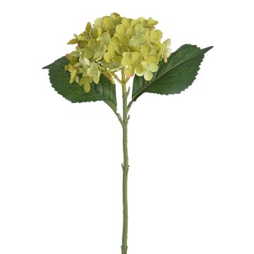 Künstliche Hortensie 47cm Blütenkopf Ø 15cm, grün Künstliche Hortensie 47cm Blütenkopf Ø 15cm, grün