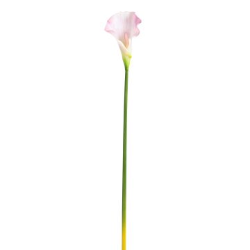 Künstliche Calla 65cm Blütenkopf 8x10cm, rosé Künstliche Calla 65cm Blütenkopf 8x10cm, rosé