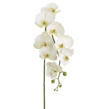 Künstliche Phalaenopsis x 14 88cm Blütenkopf Ø 6/9cm, weiß-rosé
