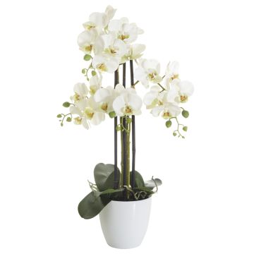 Künstliche Phalaenopsis 4-fach i.T. 67cm Blütenkopf Ø 7/7,5cm, weiß-rosé Künstliche Phalaenopsis 4-fach i.T. 67cm Blütenkopf Ø 7/7,5cm, weiß-rosé