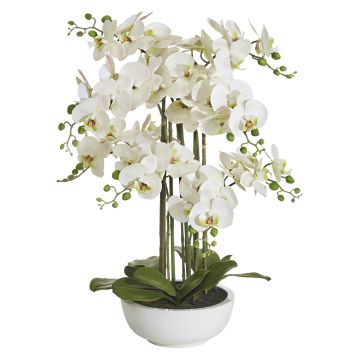Künstliche Phalaenopsis 8-fach in Keramikschale 67cm Blütenkopf Ø 9/10cm, weiß-rosé Künstliche Phalaenopsis 8-fach in Keramikschale 67cm Blütenkopf Ø 9/10cm, weiß-rosé