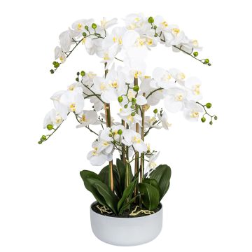 Künstliche Phalaenopsis 18-fach in Keramikschale 88cm Blütenkopf Ø 11cm, weiß-gelb