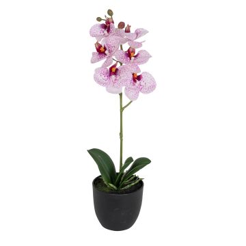 Künstliche Phalaenopsis im Topf 40cm Blütenkopf Ø 7/8cm, weiß-rosé Künstliche Phalaenopsis im Topf 40cm Blütenkopf Ø 7/8cm, weiß-rosé