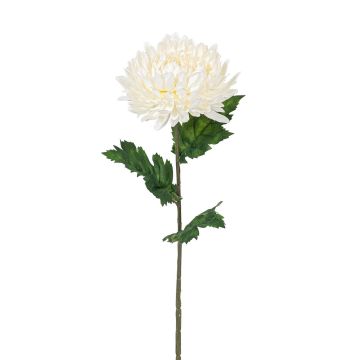 Künstliche Chrysantheme 75cm Blütenkopf Ø 14cm, elfenbein
