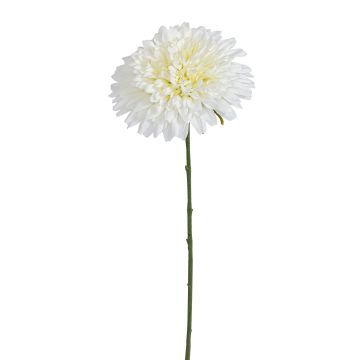 Künstliche Chrysantheme 63cm Blütenkopf Ø 13cm, elfenbein