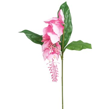 Künstliche Medinilla 88cm, rosé