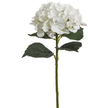 Künstliche Jade-Hortensie 56cm Blütenkopf Ø 15cm, weiß Künstliche Jade-Hortensie 56cm Blütenkopf Ø 15cm, weiß