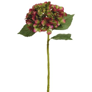Künstliche Jade-Hortensie 56cm Blütenkopf Ø 15cm, burgund-grün Künstliche Jade-Hortensie 56cm Blütenkopf Ø 15cm, burgund-grün