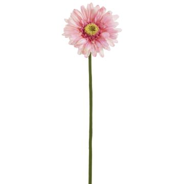Künstliche Gerbera 57cm Blütenkopf Ø 10,5cm, rosé Künstliche Gerbera 57cm Blütenkopf Ø 10,5cm, rosé