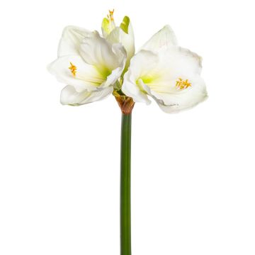 Künstliche Amaryllis x 3 68cm Blütenkopf Ø 5/11cm, weiß-grün