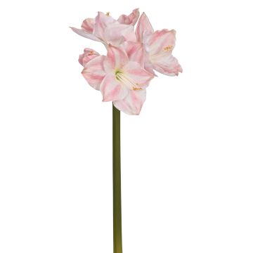 Künstliche Amaryllis x 4 63cm Blütenkopf Ø 4/14cm, rosé Künstliche Amaryllis x 4 63cm Blütenkopf Ø 4/14cm, rosé