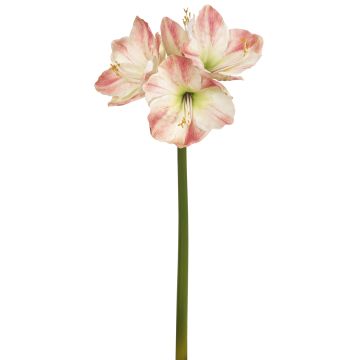 Künstliche Amaryllis x 4 75cm Blütenkopf Ø 5/11cm, weiß-rosé Künstliche Amaryllis x 4 75cm Blütenkopf Ø 5/11cm, weiß-rosé