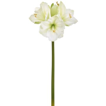 Künstliche Amaryllis x 4 75cm Blütenkopf Ø 5/11cm, weiß-grün Künstliche Amaryllis x 4 75cm Blütenkopf Ø 5/11cm, weiß-grün