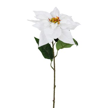 Künstliche Velvet-Poinsettia 70cm Blütenkopf Ø 21cm, weiß Künstliche Velvet-Poinsettia 70cm Blütenkopf Ø 21cm, weiß