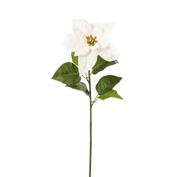 Künstliche Velvet-Poinsettia mit Blätter 55cm Blütenkopf Ø 21cm, weiß Künstliche Velvet-Poinsettia mit Blätter 55cm Blütenkopf Ø 21cm, weiß