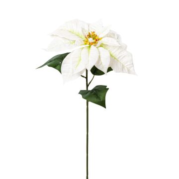 Künstliche Velvet-Poinsettia 71cm Blütenkopf Ø 27cm, weiß-grün Künstliche Velvet-Poinsettia 71cm Blütenkopf Ø 27cm, weiß-grün