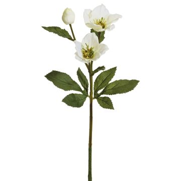 Künstliche Christrose x 3 40cm Blütenkopf Ø 3/7,5cm, elfenbein Künstliche Christrose x 3 40cm Blütenkopf Ø 3/7,5cm, elfenbein