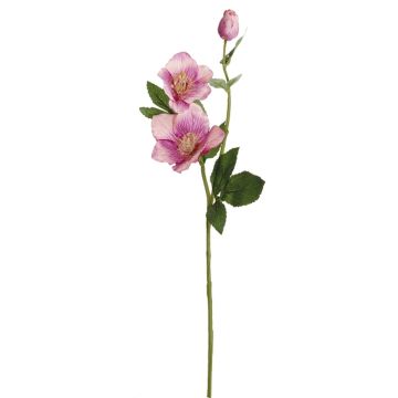 Künstliche Christrose x 3 56cm Blütenkopf Ø 3/7/9cm, altrosé Künstliche Christrose x 3 56cm Blütenkopf Ø 3/7/9cm, altrosé