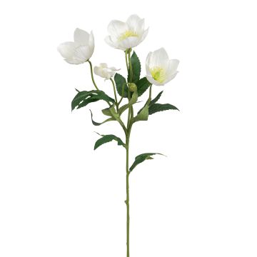 Künstliche Christrose x 4 62cm Blütenkopf Ø 3/7cm, weiß Künstliche Christrose x 4 62cm Blütenkopf Ø 3/7cm, weiß