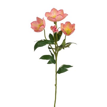 Künstliche Christrose x 4 62cm Blütenkopf Ø 3/7cm, altrosé Künstliche Christrose x 4 62cm Blütenkopf Ø 3/7cm, altrosé