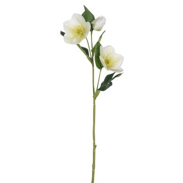 Künstliche Christrose x 3 52cm Blütenkopf Ø 2,5/7cm, weiß-grün Künstliche Christrose x 3 52cm Blütenkopf Ø 2,5/7cm, weiß-grün