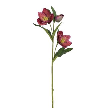 Künstliche Christrose x 3 52cm Blütenkopf Ø 2,5/7cm, burgund Künstliche Christrose x 3 52cm Blütenkopf Ø 2,5/7cm, burgund