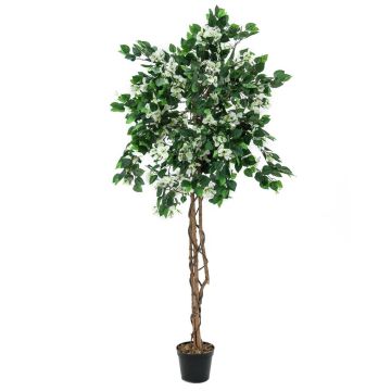 Kunst Bougainvillea BANU, Echtstämme, Blüten, weiß, 180cm