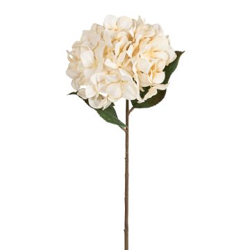 Künstliche Hortensie RE 68cm Blütenkopf Ø 20cm, elfenbein Künstliche Hortensie RE 68cm Blütenkopf Ø 20cm, elfenbein