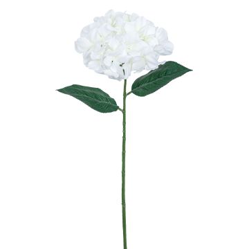 Künstliche Hortensie RE 68cm Blütenkopf Ø 23cm, elfenbein Künstliche Hortensie RE 68cm Blütenkopf Ø 23cm, elfenbein