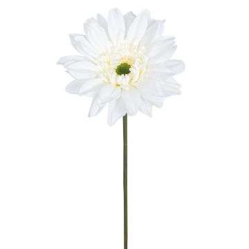 Künstliche Gerbera RE 66cm Blütenkopf Ø 12cm, elfenbein