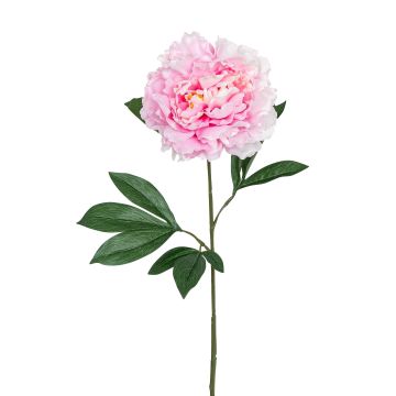 Künstliche Päonie RE 80cm Blütenkopf Ø 15cm, rosé Künstliche Päonie RE 80cm Blütenkopf Ø 15cm, rosé