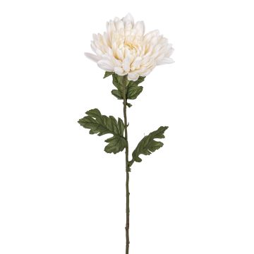 Künstliche Chrysantheme RE 68cm Blütenkopf Ø 15cm, elfenbein