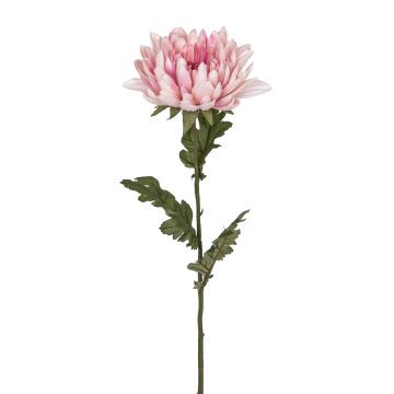 Künstliche Chrysantheme RE 68cm Blütenkopf Ø 15cm, rosé-gemischt