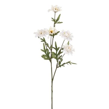 Künstlicher Margeritenzweig RE x 5 75cm Blütenkopf Ø 5,5/7cm, elfenbein Künstlicher Margeritenzweig RE x 5 75cm Blütenkopf Ø 5,5/7cm, elfenbein