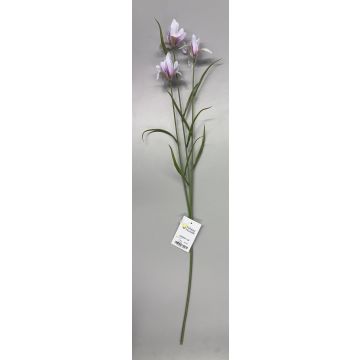 Künstliche Iris x 3 71cm, weiß-rosé Künstliche Iris x 3 71cm, weiß-rosé