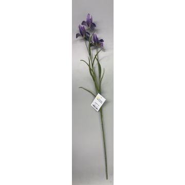Künstliche Iris x 3 71cm, lila Künstliche Iris x 3 71cm, lila